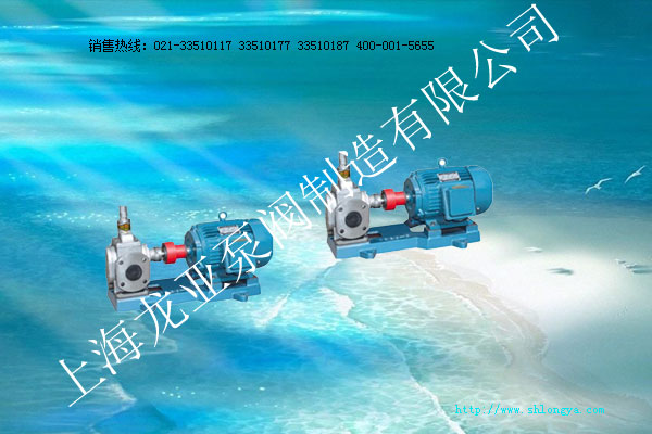 YCB系列不銹鋼齒輪泵(齒輪式潤滑油泵) YCB齒輪泵,齒輪泵,齒輪式潤滑油泵